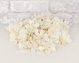 1.5" Maria - 50 Pack - Sola Wood Flowers