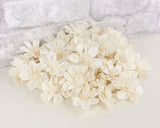1.5" Maria - 50 Pack - Sola Wood Flowers