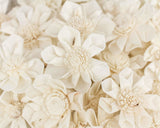 1.5" Maria - 50 Pack - Sola Wood Flowers