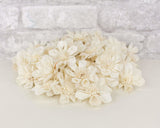 1.5" Maria - 50 Pack - Sola Wood Flowers