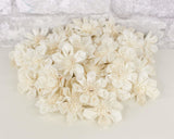 1.5" Maria - 50 Pack - Sola Wood Flowers
