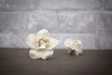 1.5" Nova (10 Pack) - Sola Wood Flowers