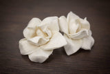 1.5" Nova (10 Pack) - Sola Wood Flowers