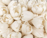 1.5" Precious Tulip - 50 Pack - Sola Wood Flowers