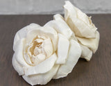 1.5" Ravishing Rose (10 Pack) - Sola Wood Flowers