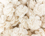 1.5" Spiral - 50 Pack - Sola Wood Flowers