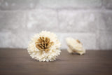 1.5" Tiger Eye (10 Pack) - Sola Wood Flowers