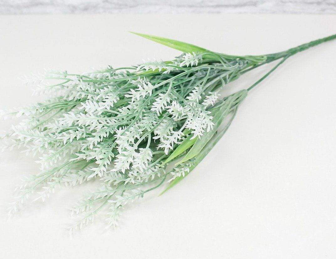 wild lavender flower 15