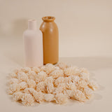 1.5" Wild Zinnia - 50 Pack - Sola Wood Flowers