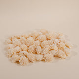 1.5" Wild Zinnia - 50 Pack - Sola Wood Flowers