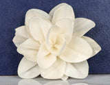 2" Alice (10 pack) - Sola Wood Flowers