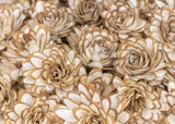 2" Almond - 50 Pack - Sola Wood Flowers