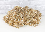 2" Almond - 50 Pack - Sola Wood Flowers