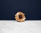 2" Almond Daisy (10 Pack)