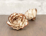 2" Almond w/ Mahogany Tips (10 Pack) - Sola Wood Flowers