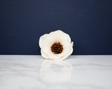 2" Anemone (10 pack) - Sola Wood Flowers
