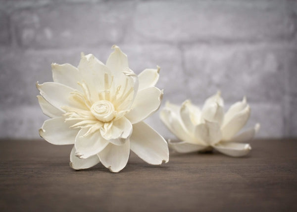 astrid lily flower 2" Astrid (3 pack) – Sola Wood Flowers