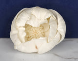 2" Athena (10 Pack) - Sola Wood Flowers