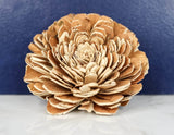 2" Bark Bali (10 pack) - Sola Wood Flowers