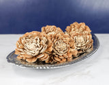 2" Bark Bali (10 pack) - Sola Wood Flowers