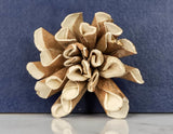2" Bark Dahlia (10 pack) - Sola Wood Flowers