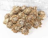 2" Bark Zinnia - 50 Pack - Sola Wood Flowers