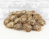 2" Bark Zinnia - 50 Pack - Sola Wood Flowers