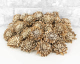 2" Bark Zinnia - 50 Pack - Sola Wood Flowers
