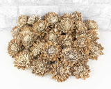 2" Bark Zinnia - 50 Pack - Sola Wood Flowers