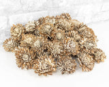 2" Bark Zinnia - 50 Pack - Sola Wood Flowers