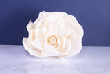 2" Bartzella Peony (10 Pack) - Sola Wood Flowers