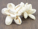 2" Bitty (10 Pack) - Sola Wood Flowers