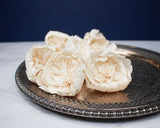 2" Bowl of Beauty Peony (10 Pack) - Sola Wood Flowers