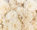 2" Carnation - 50 Pack - Sola Wood Flowers
