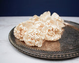 2" Carnival (10 Pack) - Sola Wood Flowers