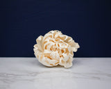 2" Carnival (10 Pack) - Sola Wood Flowers