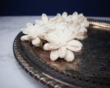 2" Chamomile (10 pack) - Sola Wood Flowers