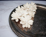 2" Chamomile (10 pack) - Sola Wood Flowers