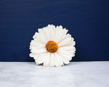 2" Classic Daisy (10 Pack) - Sola Wood Flowers