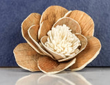 2" Coco (10 Pack) - Sola Wood Flowers