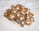 2" Coco - 50 Pack - Sola Wood Flowers