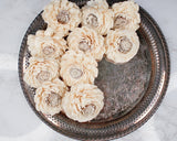 2" Coco Bali (10 pack) - Sola Wood Flowers