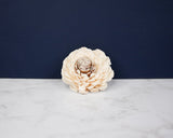 2" Coco Bali (10 pack) - Sola Wood Flowers