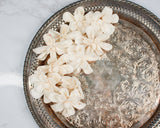 2" Dainty Daisy (10 pack) - Sola Wood Flowers