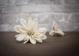 2" Daisy May (10 Pack) - Sola Wood Flowers