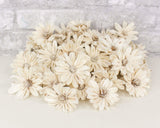 2" Daisy May - 50 Pack - Sola Wood Flowers