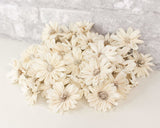 2" Daisy May - 50 Pack - Sola Wood Flowers