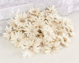2" Daisy May - 50 Pack - Sola Wood Flowers