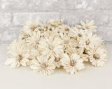 2" Daisy May - 50 Pack - Sola Wood Flowers