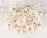 2" Daisy May - 50 Pack - Sola Wood Flowers